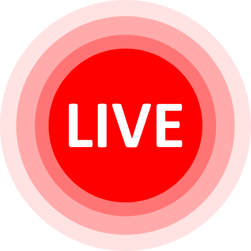 1 On 1 Porn Chat